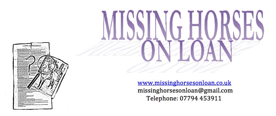 Missing Horses