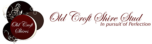 Old Croft Shires